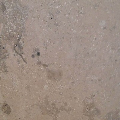 Limestone - Granitello Grigio